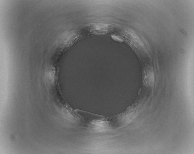 X0000116780231200912171539