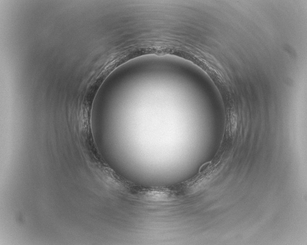 X0000116780236200912171539