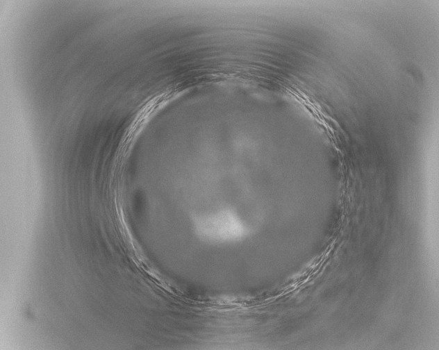 X0000116780241200912171538