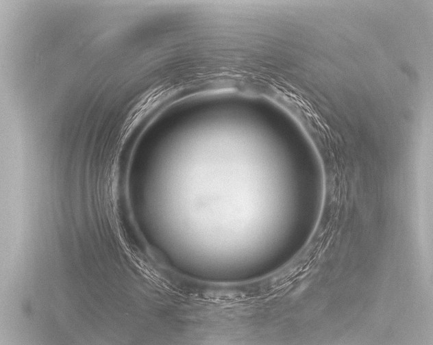 X0000116780242200912171538