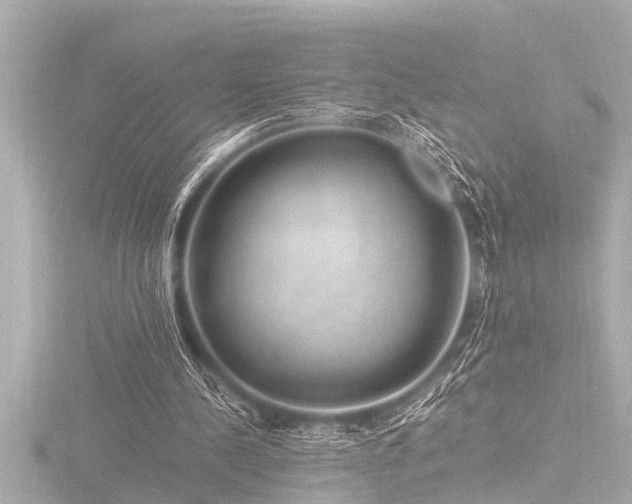 X0000116780244200912171538