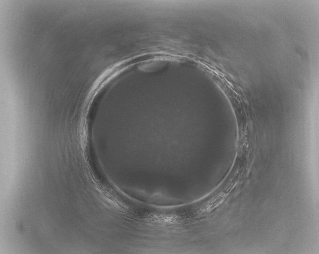 X0000116780247200912171538