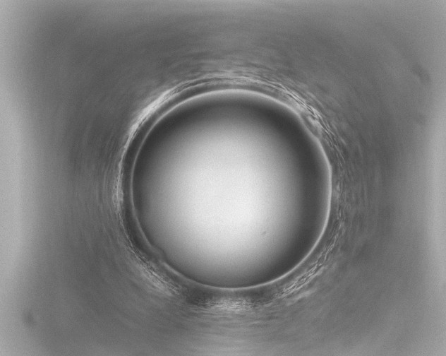 X0000116780248200912171538