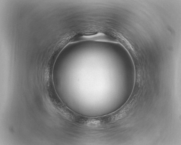 X0000116780257200912171538