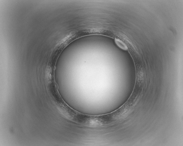 X0000116780264200912171538
