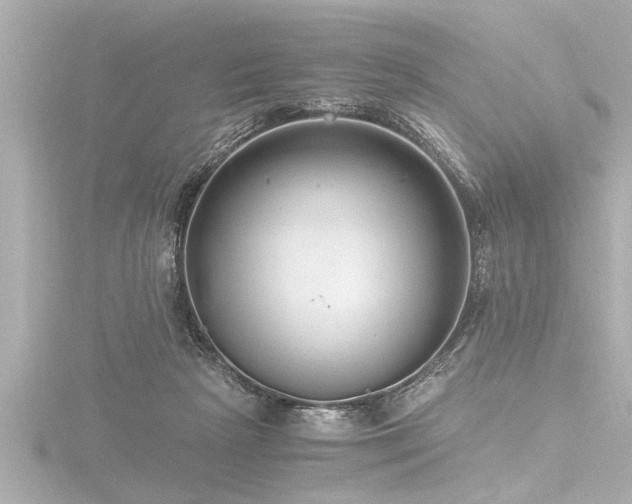 X0000116780265200912171538