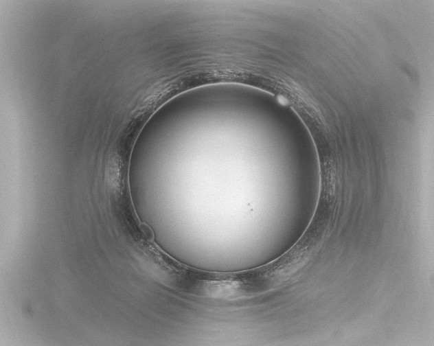 X0000116780266200912171538
