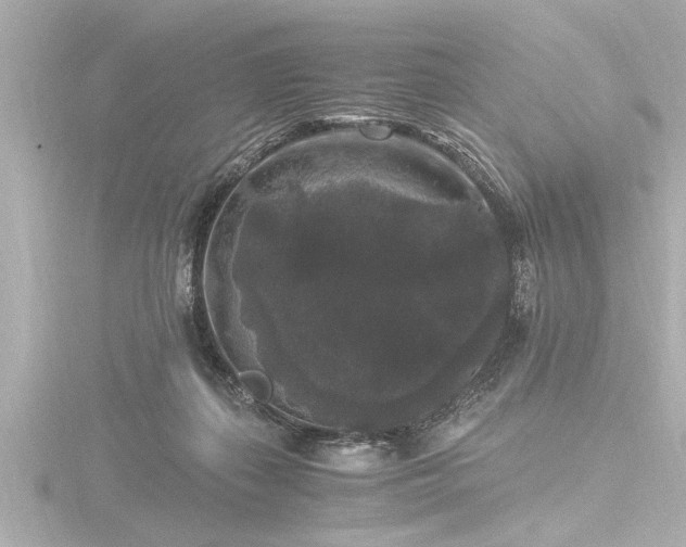 X0000116780267200912171538