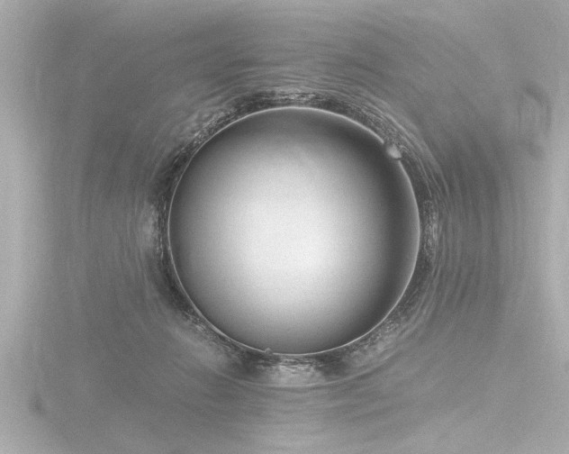 X0000116780270200912171538
