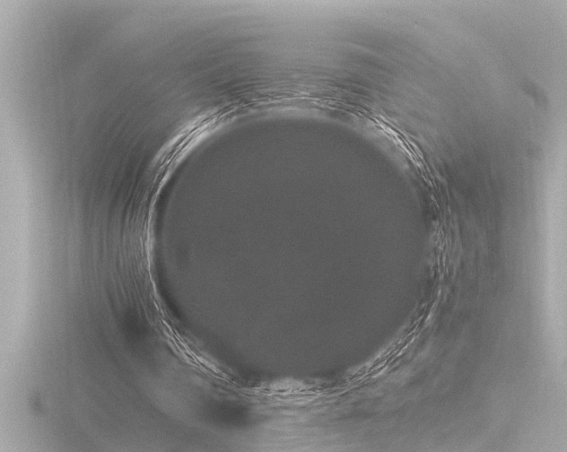 X0000116780290200912171538