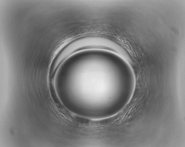 X0000116780292200912171538