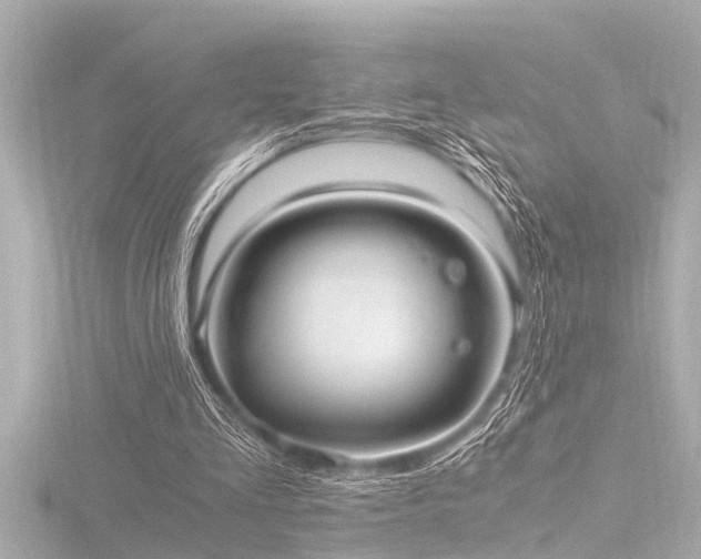 X0000116780293200912171538
