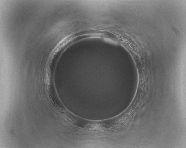 X0000116780295200912171538