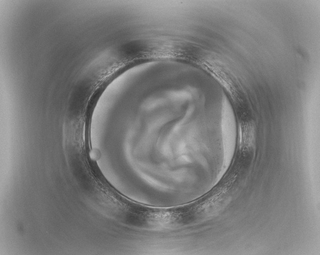 X0000116780301200912171538