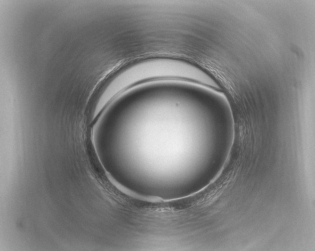 X0000116780304200912171538