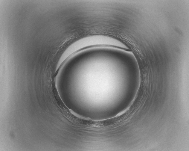 X0000116780308200912171538