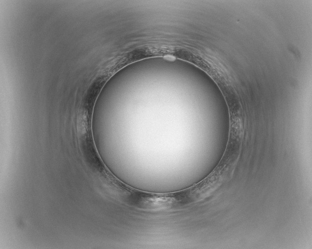 X0000116780323200912171537