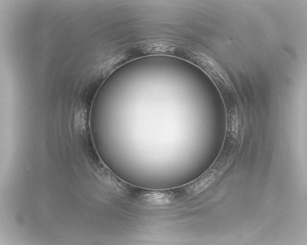 X0000116780326200912171537