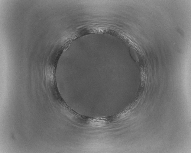 X0000116780331200912171537
