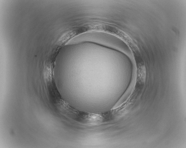 X0000116780333200912171537