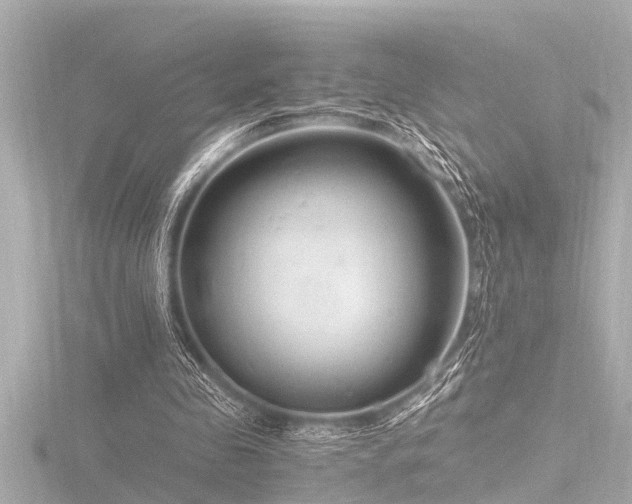 X0000116780341200912171536