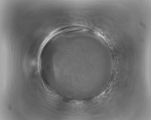 X0000116780343200912171536