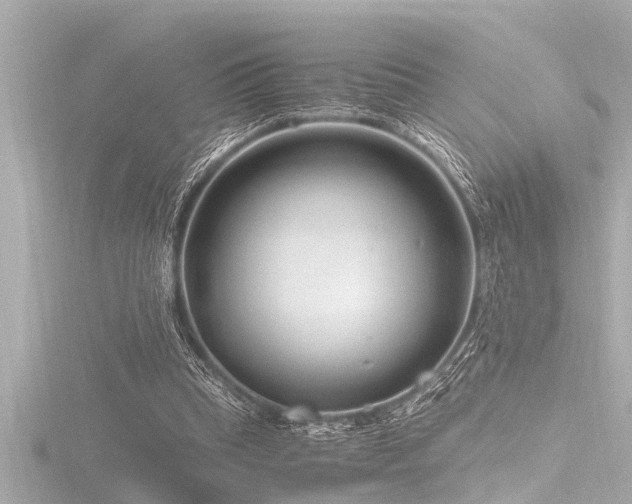 X0000116780345200912171536