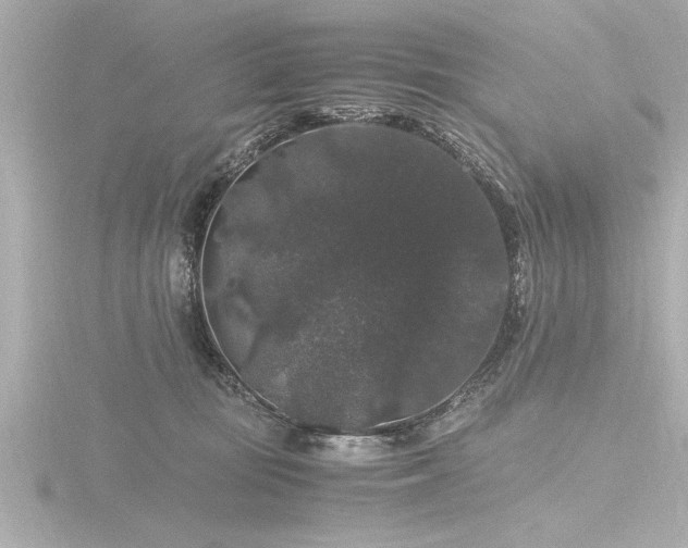 X0000116780371200912171537