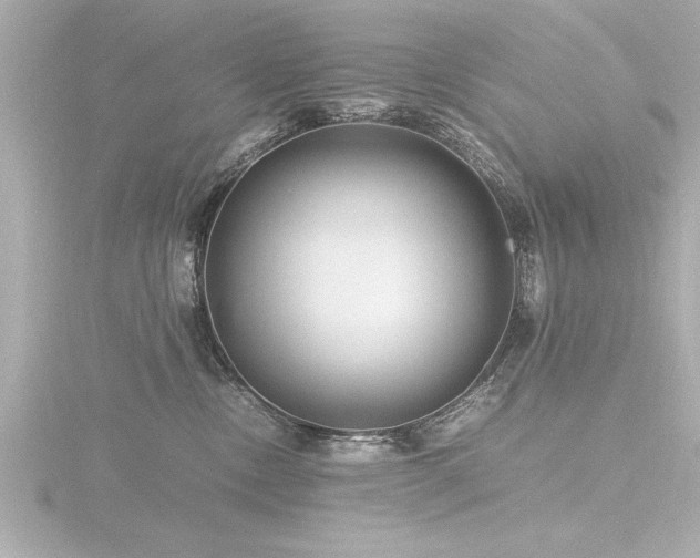 X0000116780378200912171537