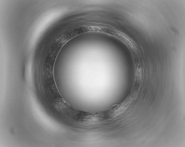 X0000116780381200912171537