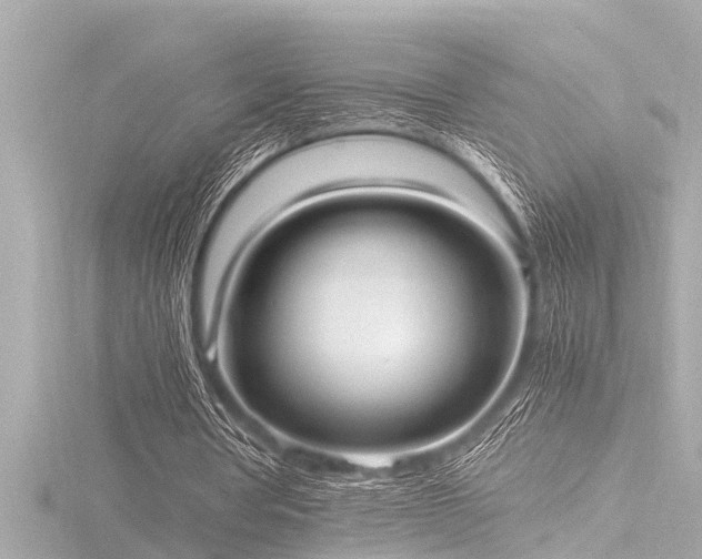 X0000116780386200912171536