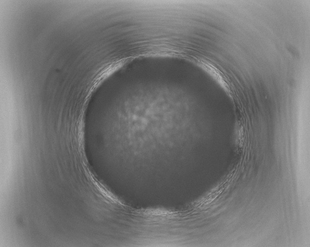 X0000116780389200912171536