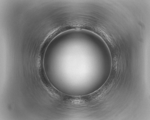 X0000116780400200912171536