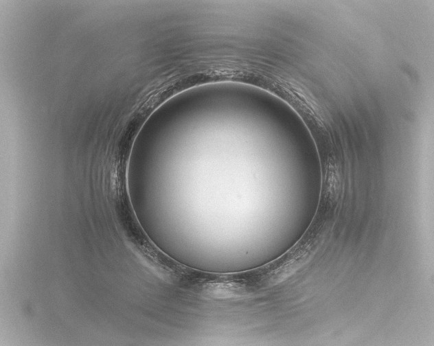 X0000116780408200912171536