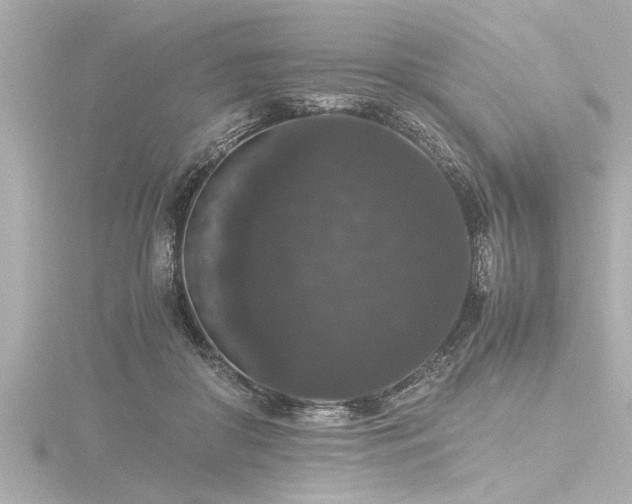 X0000116780410200912171536
