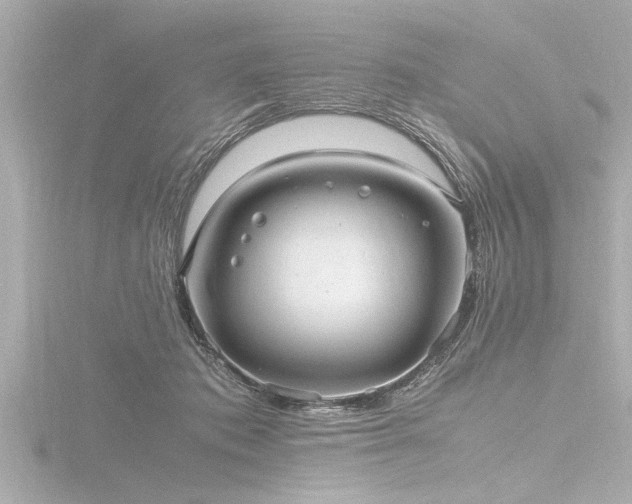 X0000116780413200912171536