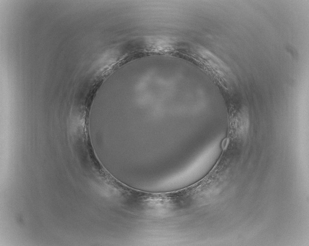 X0000116780415200912171536