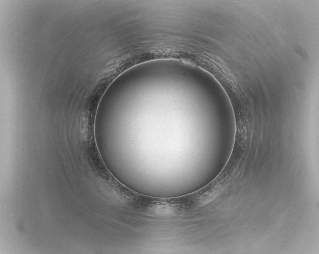X0000116780416200912171536
