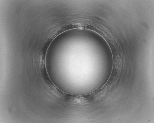 X0000116780420200912171536