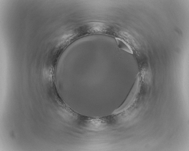 X0000116780423200912171536