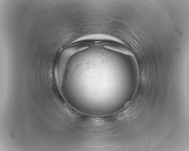 X0000116780424200912171536