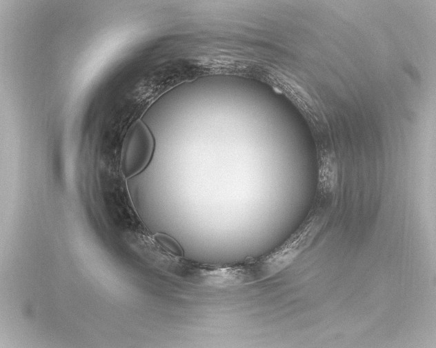 X0000116780430200912171536