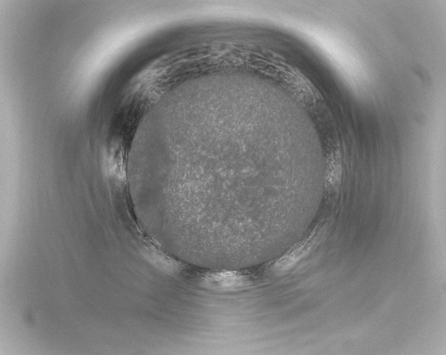 X0000116780431200912171536