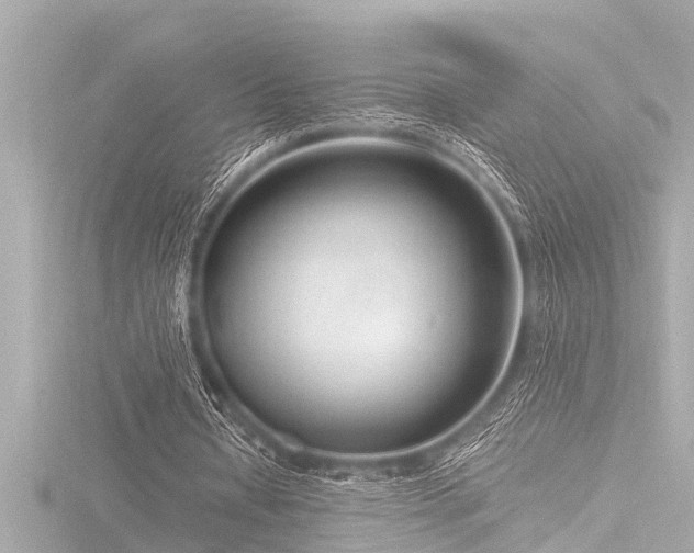 X0000116780434200912171535