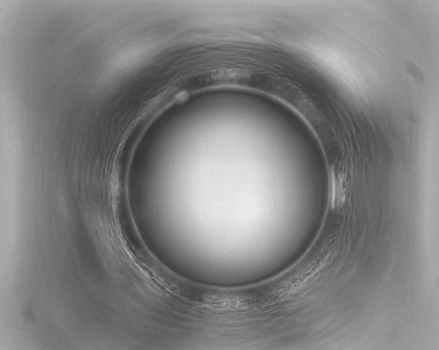 X0000116780435200912171535