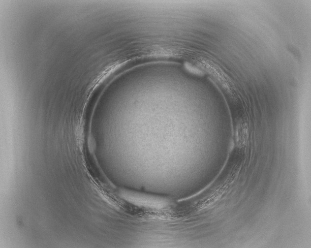 X0000116780436200912171535
