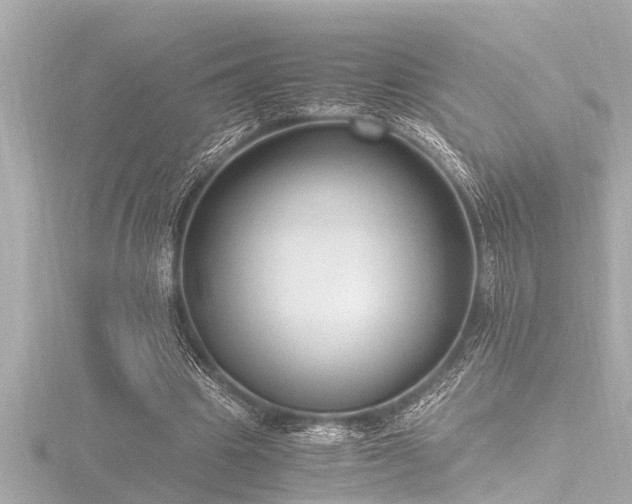 X0000116780441200912171535