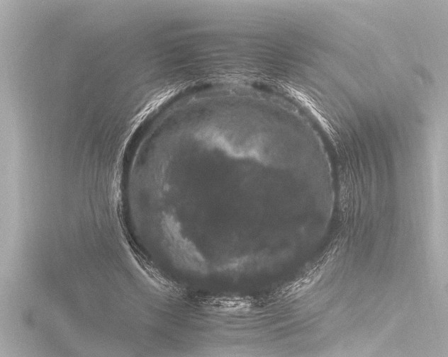 X0000116780443200912171535