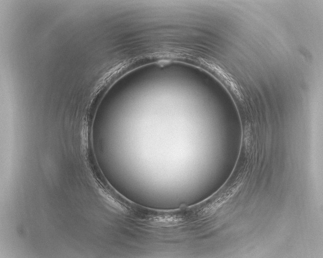 X0000116780445200912171535