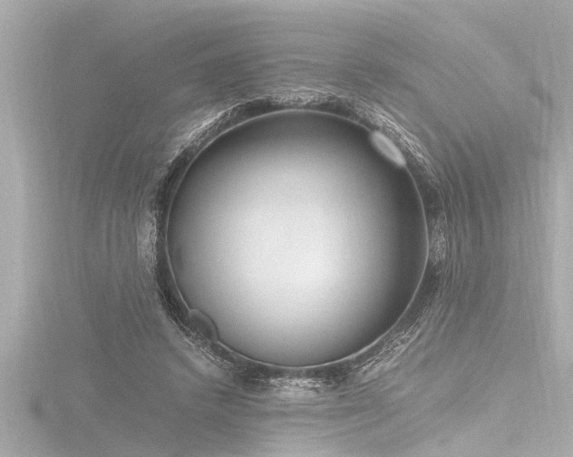 X0000116780448200912171535
